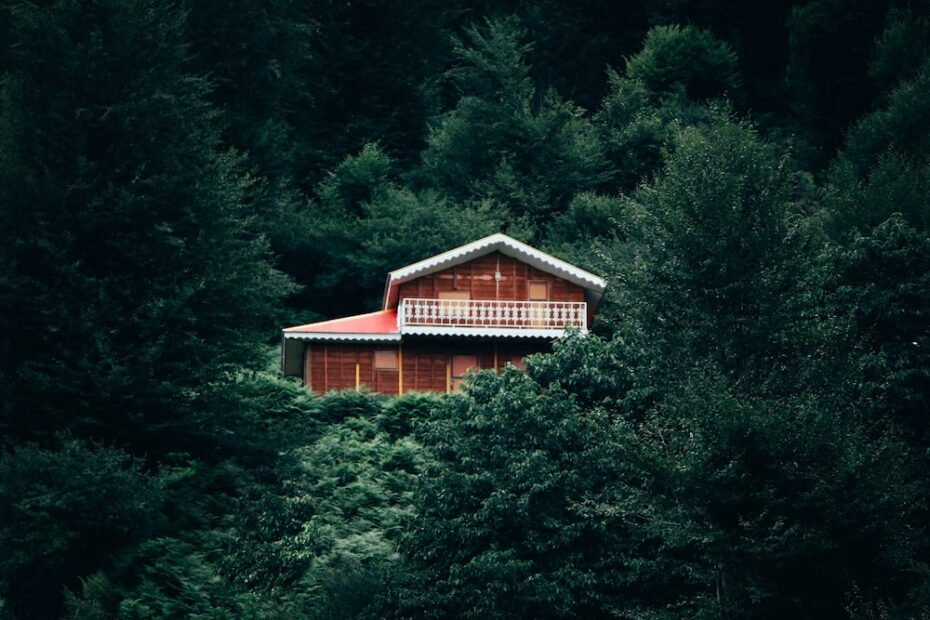 Jungle House Pictures | Download Free Images On Unsplash