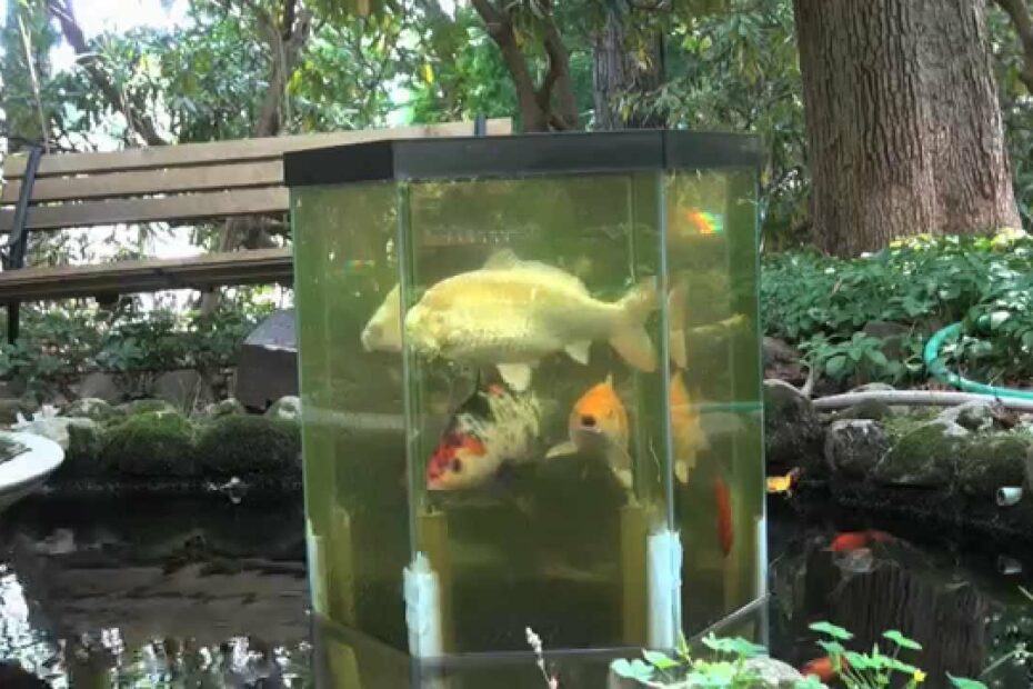 The Fish Penthouse, An Above Water Aquarium - Youtube