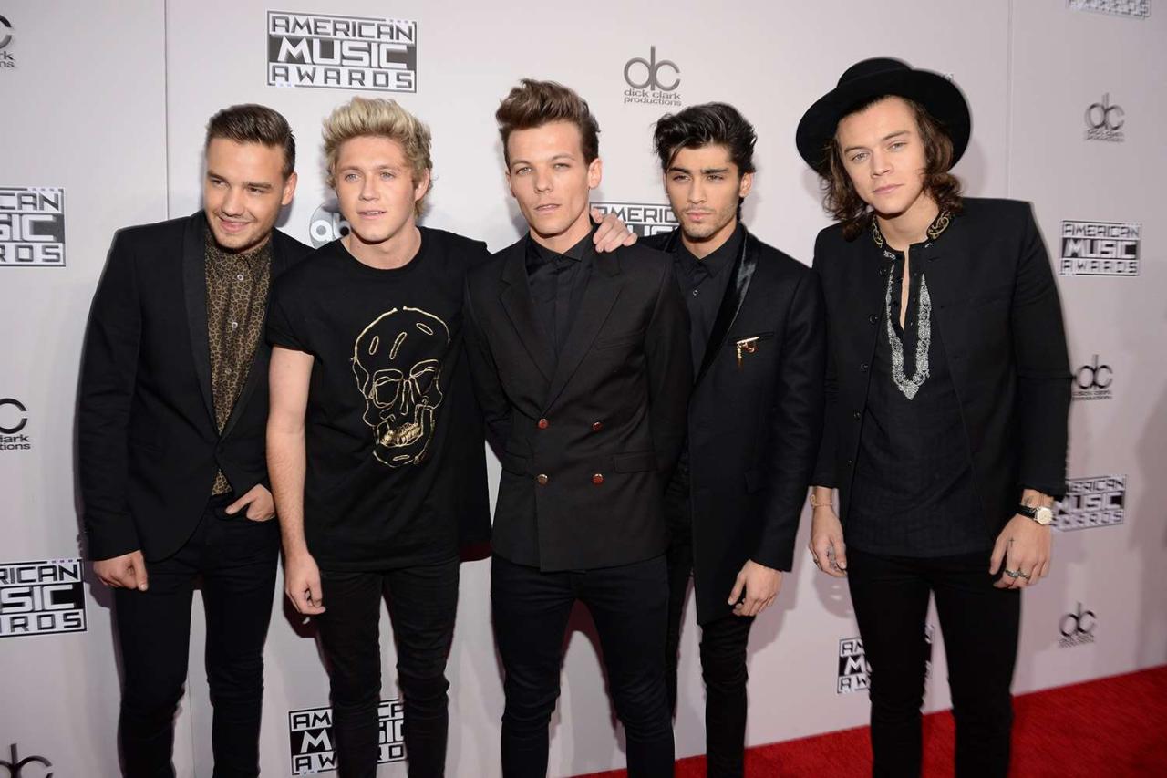 Zayn Malik Says He And One Direction Bandmates 'Got Sick Of Each Other'