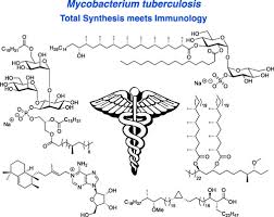 Are Saprophytic Mycobacteria Acid Fast?