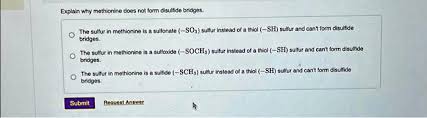 Does Methionine Form Disulfide Bonds? A Closer Look