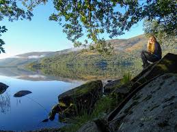 Is The West Highland Way Well Signposted? A Hiker’S Guide