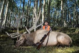 Is The 6.5 Creedmoor A Reliable Elk Hunting Rifle? - Quora