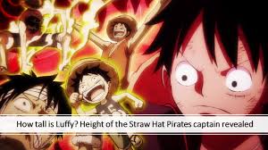 What Ep Does Luffy Fight Doflamingo: The Epic Dressrosa Battle