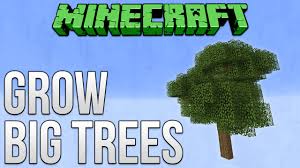How To Grow A Dark Oak Tree In Minecraft