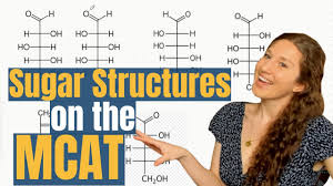 Is Sucrose The Only Non-Reducing Sugar? Mcat Explained