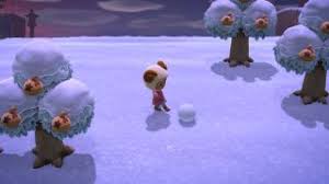 Why Is There No Second Snowball Nearby? There'S Quite A Bit Of Open Space :  R/Animalcrossingnewhor
