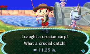 Crucian Carp Price: How Much Is This Fish Worth In Animal Crossing?